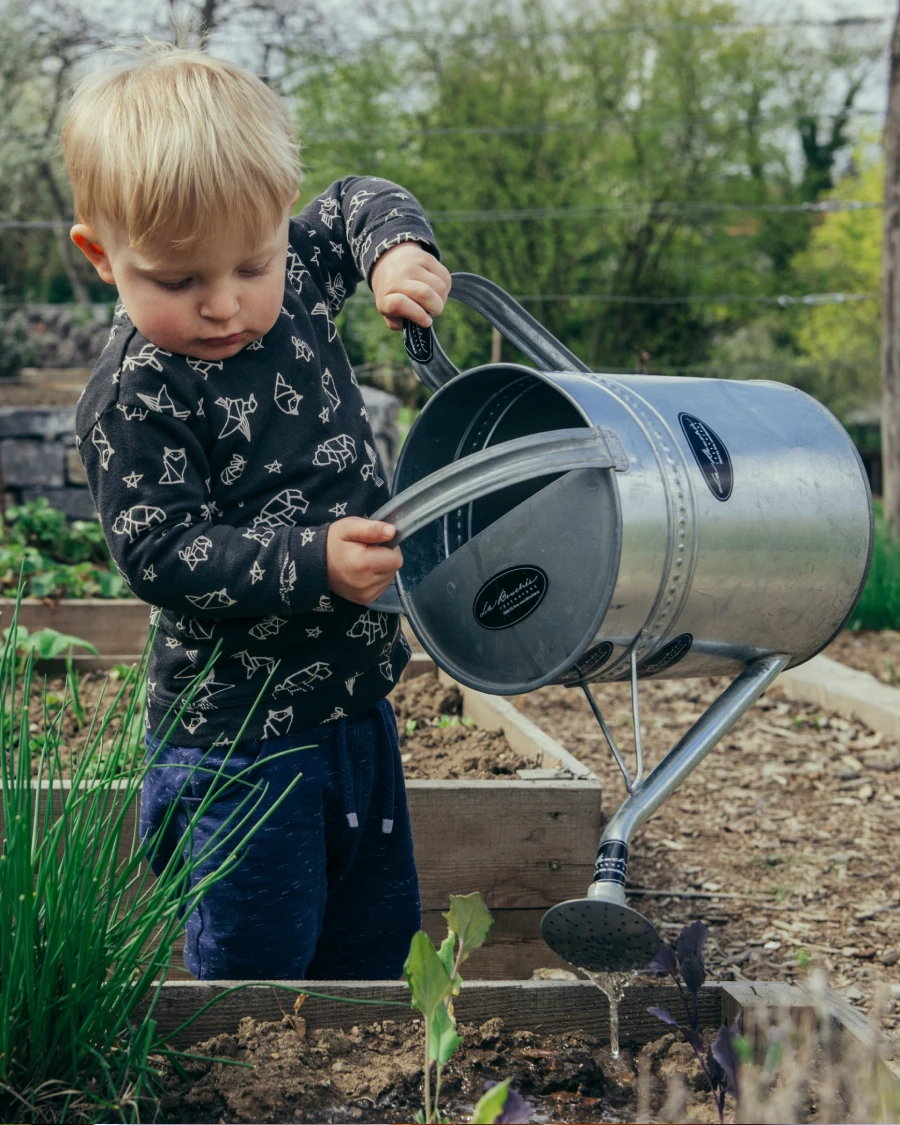 Illustration des assurances vie et prévoyance : capital, retraite, hypothèque.