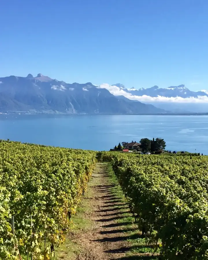 Vue éditoriale évoquant le courtage en assurance sur la Riviera vaudoise.